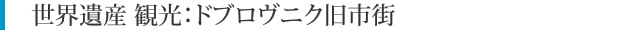 世界遺産 観光：ドブロヴニク旧市街 